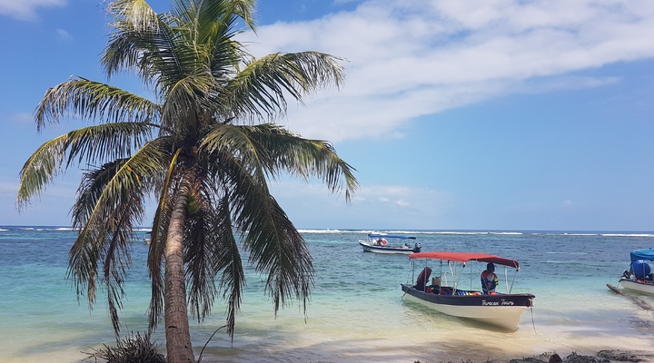 Bocas del Toro